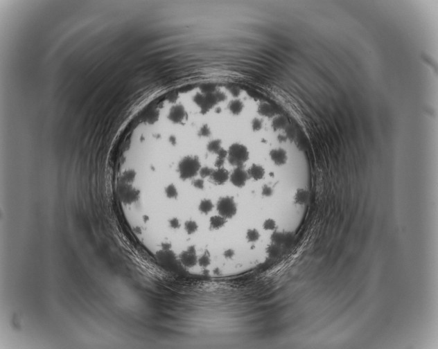 X0000096720835200803041400