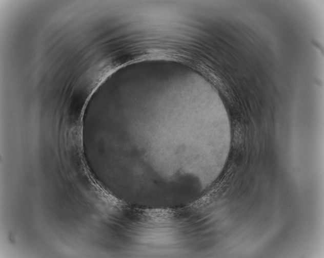 X0000096720836200803041400