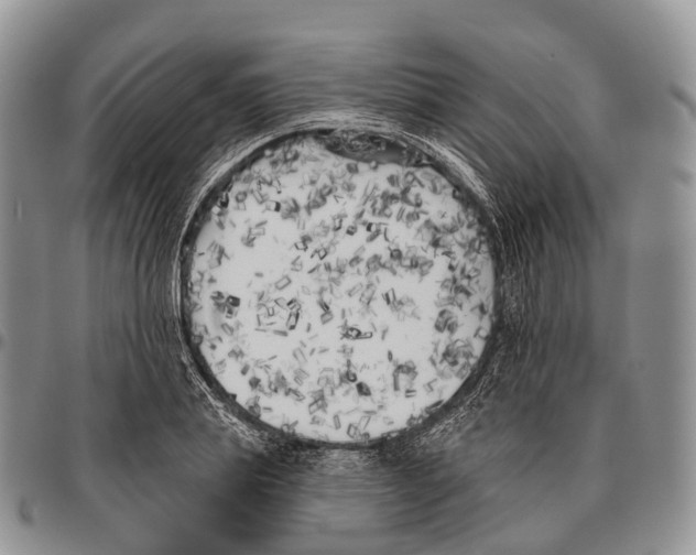 X0000096720839200803041400