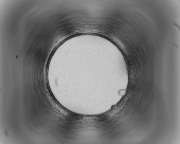 X0000096720840200803041400