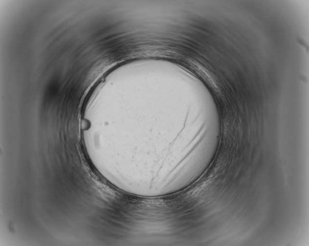 X0000096720844200803041400