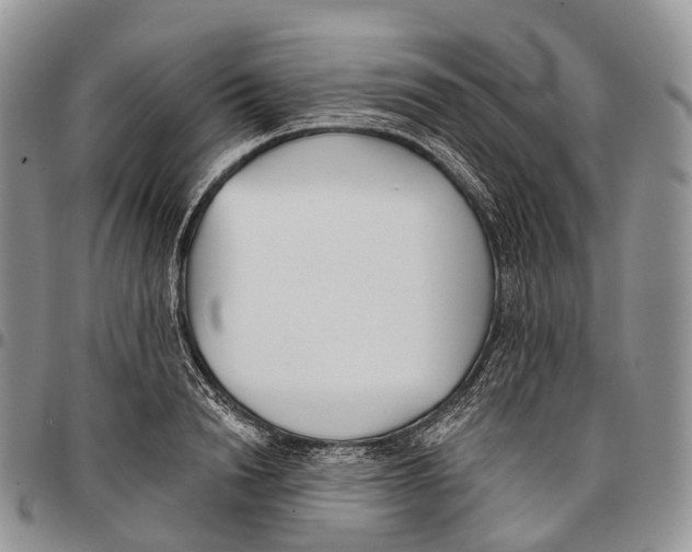 X0000096720846200803041400