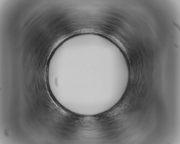 X0000096720847200803041400