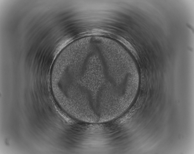 X0000096720850200803041400