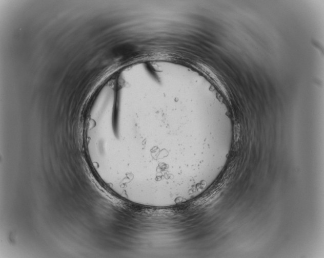 X0000096720851200803041400