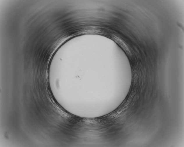 X0000096720852200803041400