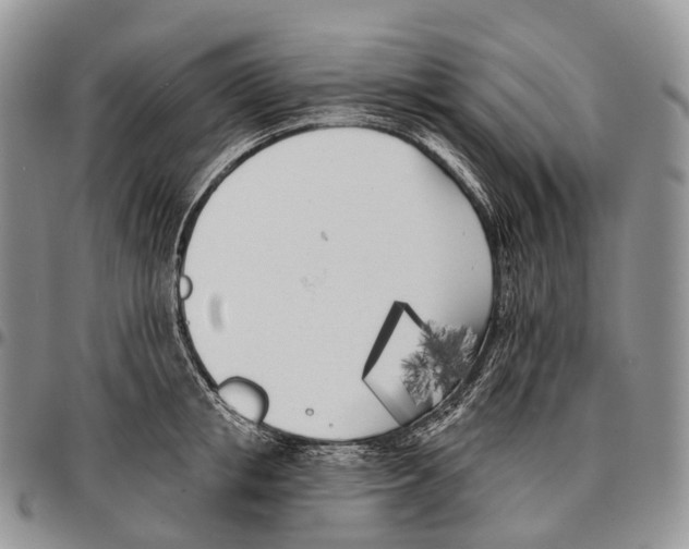 X0000096720853200803041400