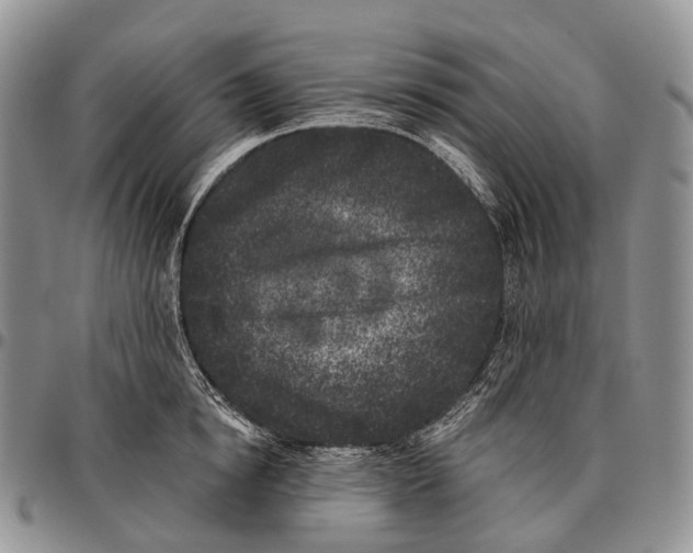 X0000096720854200803041400