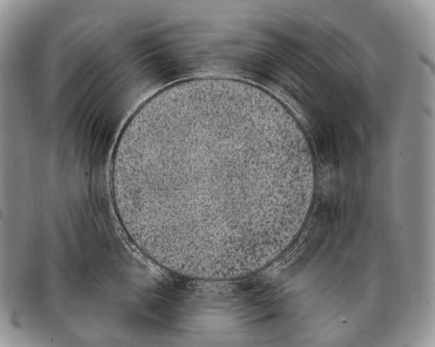 X0000096720856200803041400