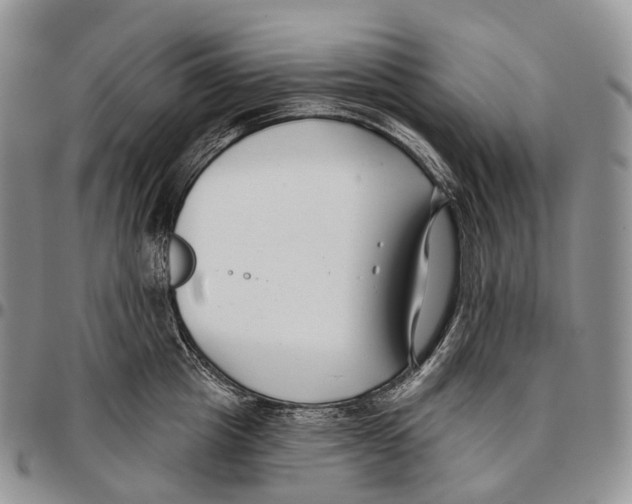 X0000096720857200803041400