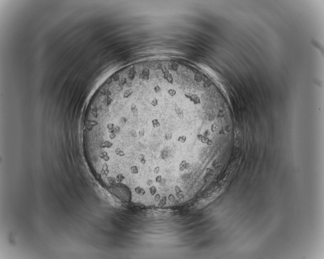 X0000096720859200803041400