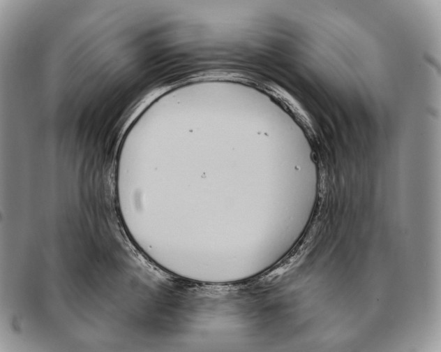 X0000096720860200803041400