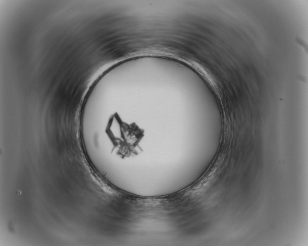 X0000096720862200803041400