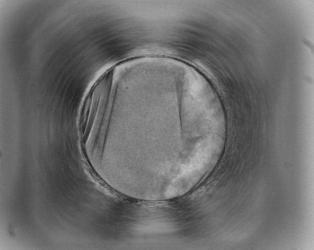 X0000096720864200803041400