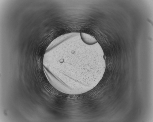 X0000096720866200803041400