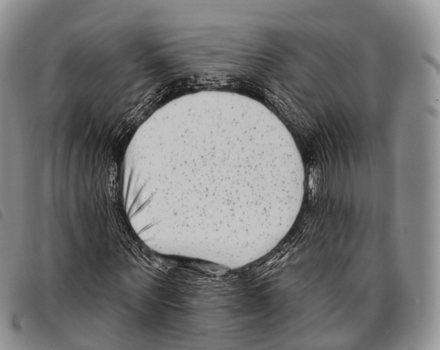 X0000096720867200803041400