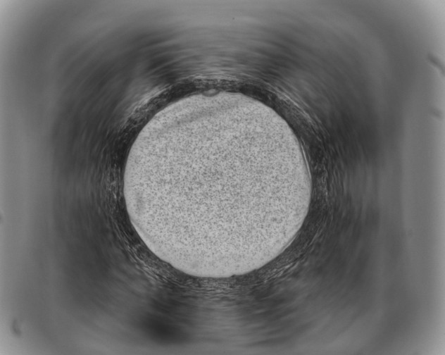 X0000096720870200803041359