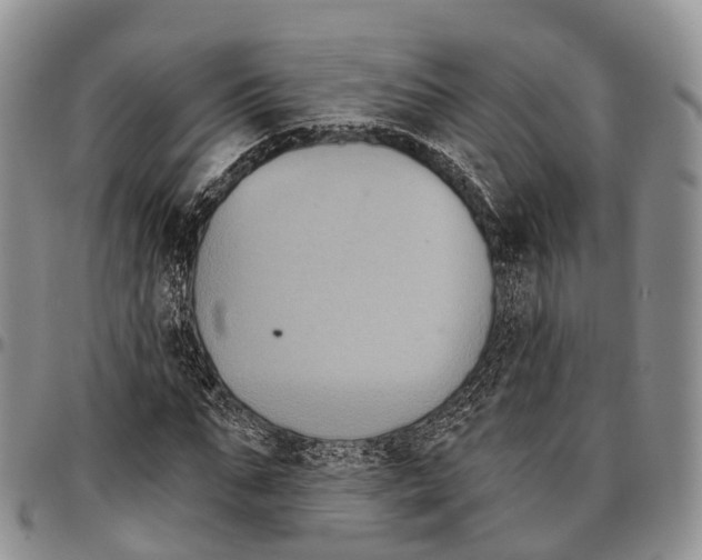 X0000096720871200803041359