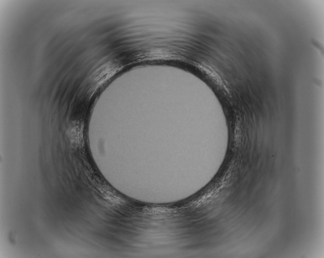 X0000096720873200803041359