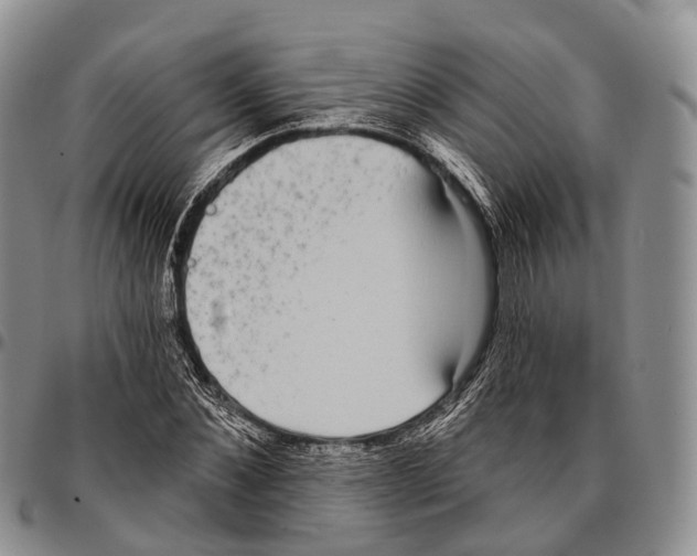 X0000096720876200803041359