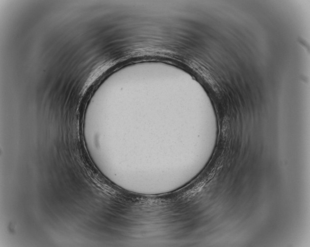 X0000096720877200803041359