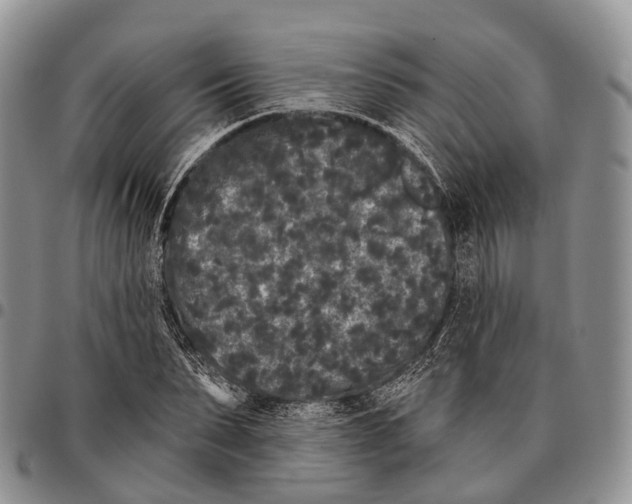 X0000096720879200803041359