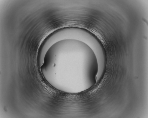 X0000096720880200803041359