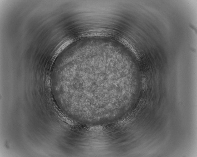 X0000096720882200803041359