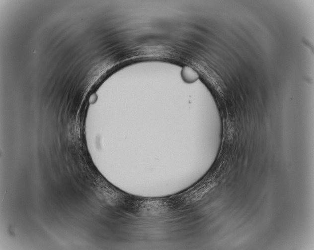 X0000096720883200803041359