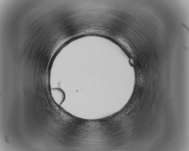 X0000096720888200803041359