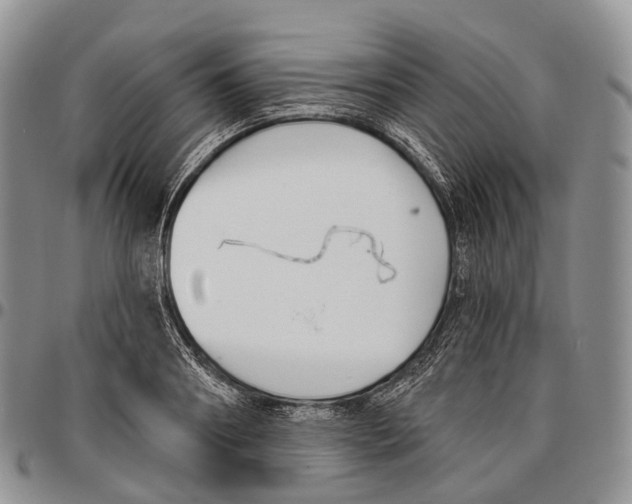 X0000096720890200803041359