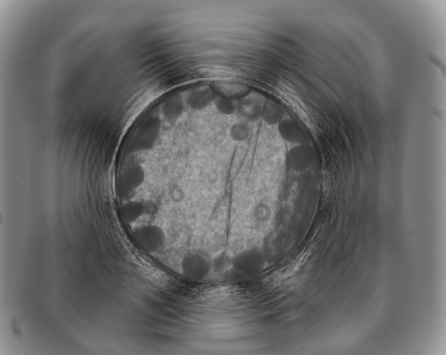 X0000096720891200803041359