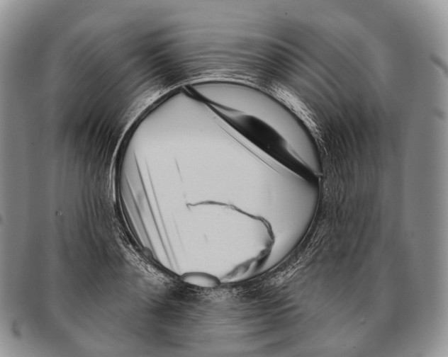 X0000096720892200803041359