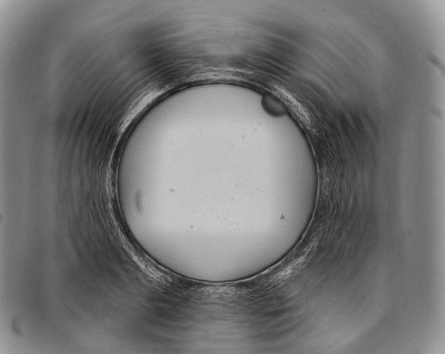 X0000096720893200803041359