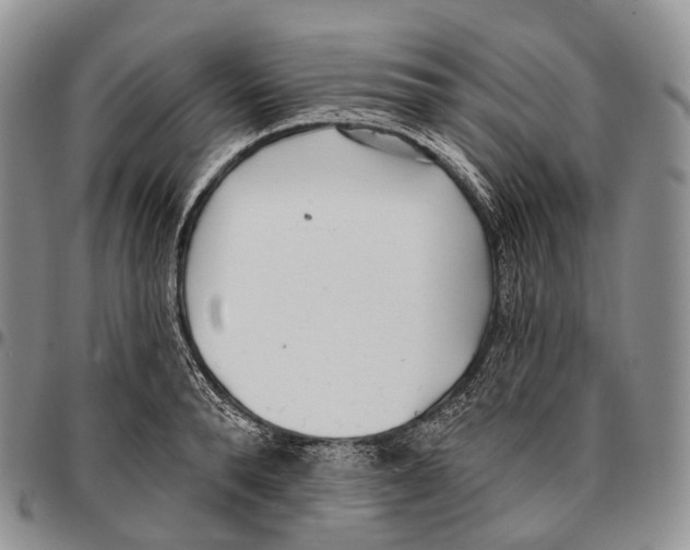 X0000096720896200803041359