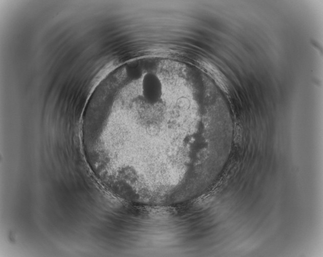 X0000096720899200803041359