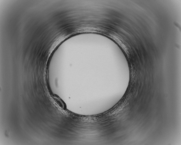 X0000096720901200803041359