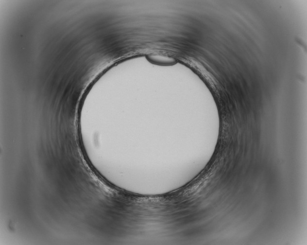 X0000096720902200803041359