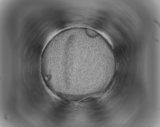 X0000096720903200803041359