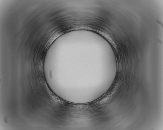 X0000096720905200803041359