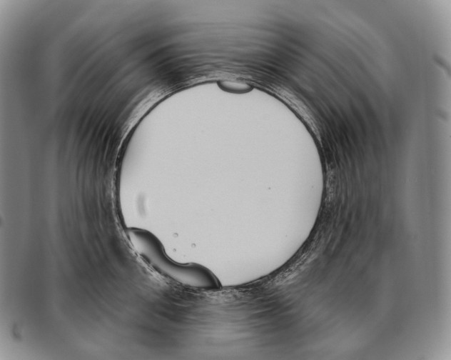 X0000096720906200803041359