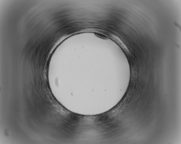 X0000096720908200803041359