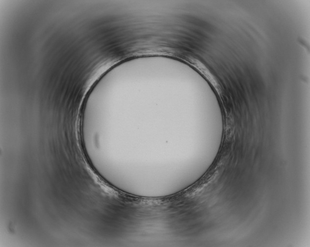 X0000096720909200803041359