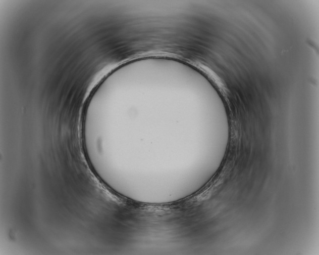 X0000096720910200803041359