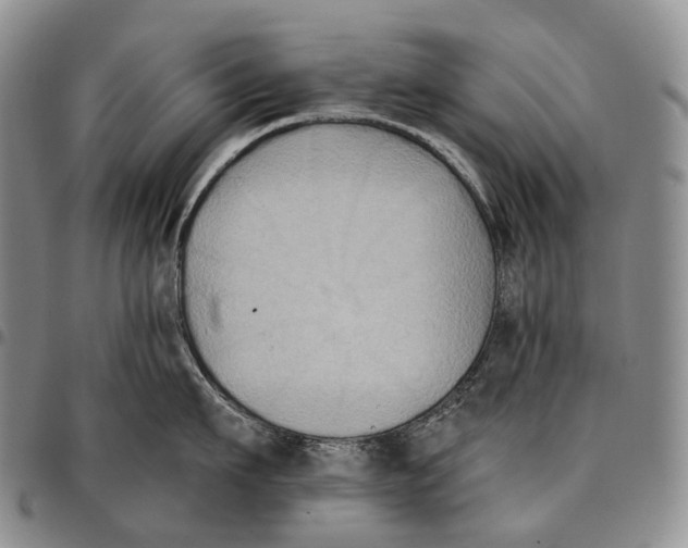 X0000096720911200803041359