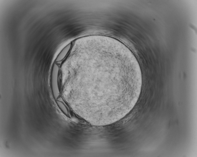 X0000096720912200803041359