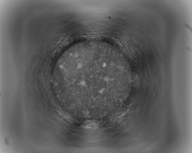 X0000096720913200803041358