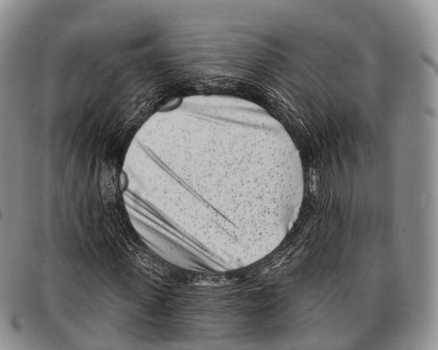 X0000096720915200803041358