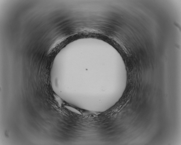 X0000096720919200803041358