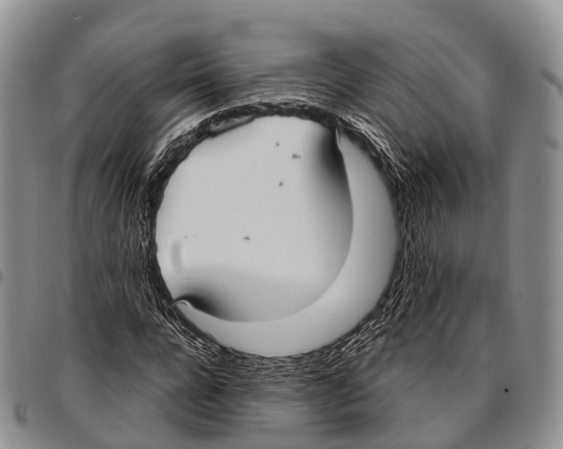 X0000096720920200803041359